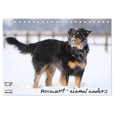 Hovawarte - einmal anders (Tischkalender 2027 DIN A5 quer), CALVENDO Monatskalender