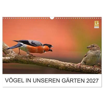 Vögel in unseren Gärten 2027 (Wandkalender 2027 DIN A3 quer), CALVENDO Monatskalender