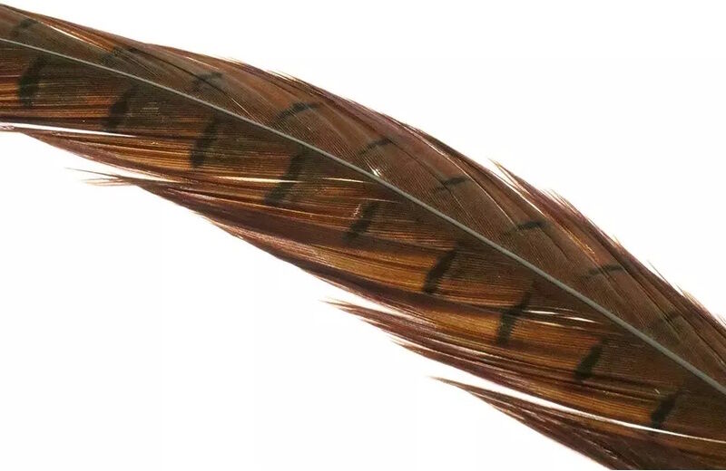FlyCo Lystfisk.Dk Ringneck Pheasant Tail Feathers 1 Pair-Natural