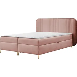 BOXBETT Fandy - H3