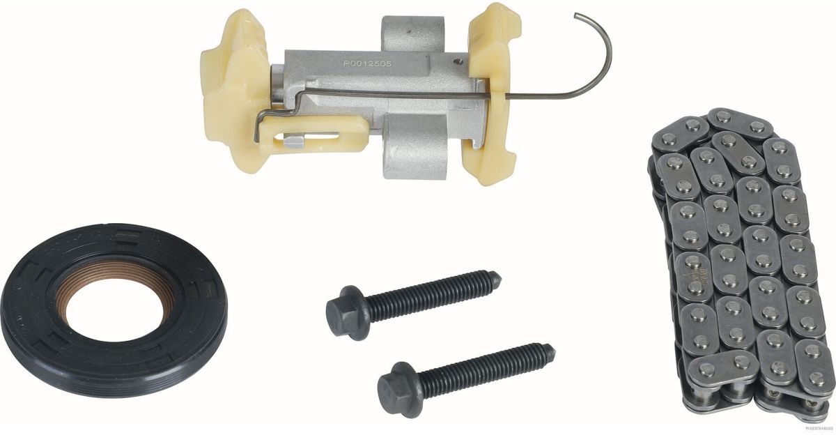 Ventilsteuerung Satz (Kette + Elemente) HERTH+BUSS ELPARTS J1192038