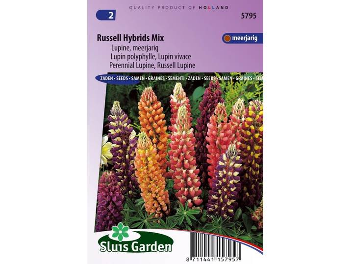 Lupinus Polyphyllus zaden Russell Hybrids Mix