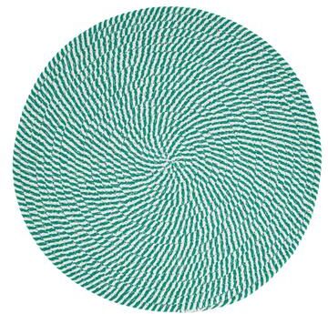 Saro Lifestyle Stripes of Mint Placemat (Set of 4)