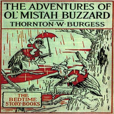The Adventures of Old Mr. Buzzard - Thornton W. Burgess, Audio, 9781965655559