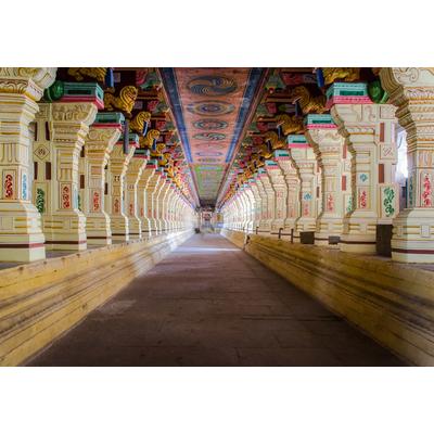 Fototapete PAPERMOON "Ramanathaswamy Tempel", bunt, B:5m L:2,8m, Vlies, Tapeten