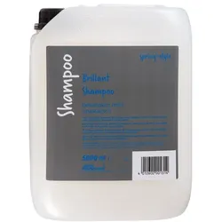 5L Spring Brillant Shampoo
