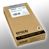 Epson Tinte C13T603700 light black T6037