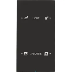 Berker Touch-Sensor 2-fach Glas schwarz 75142155