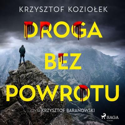 Droga bez powrotu - Krzysztof Koziołek, Audio, 9788727207438