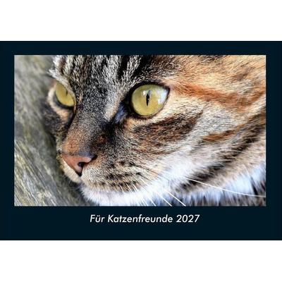 Für Katzenfreunde 2027 Fotokalender DIN A4
