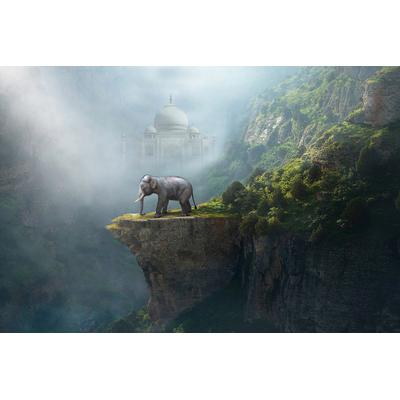 Fototapete PAPERMOON "Indischer Elefant Taj Mahal", bunt, B:3m L:2,23m, Vlies, Tapeten