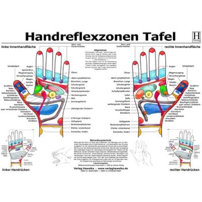 Handreflexzonen Tafel - A3 (laminiert), Poster von , Hawelka, Uwe, 978-3-939378-29-7