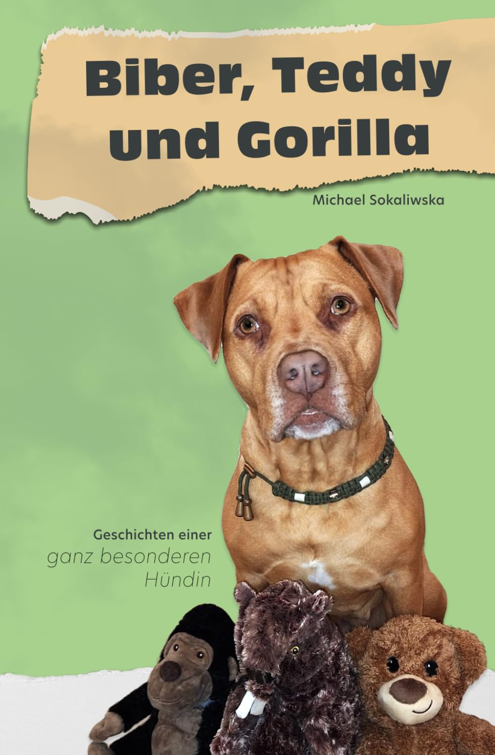 Biber, Teddy und Gorilla: Geschichten einer ganz besonderen Hündin - Preis vom 13.10.2026 11:25:28 h