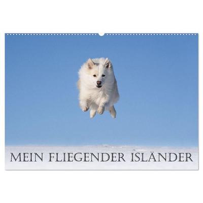Mein fliegender Isländer (Wandkalender 2027 DIN A2 quer), CALVENDO Monatskalender