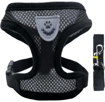 Uplifted Finds Ultra Breathable Air Mesh Harness & Leash Set black l