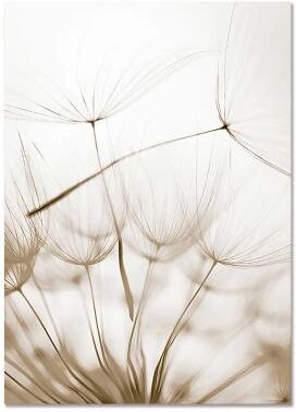 Uplift Picks Nordic Beach Canvas Wall Art Minimalist Shell Flower Prints Decor 08 40x50 Cm