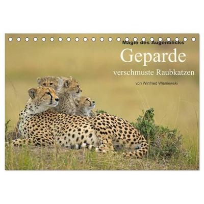 Magie des Augenblicks: Geparde - verschmuste Raubkatzen (Tischkalender 2027 DIN A5 quer), CALVENDO Monatskalender