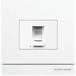 Busch-Jaeger, Zutrittskontrolle, BJ 83100/70-664 Welcome Zutritts- kontrolle m.Fingerprint studioweiÃ matt (Fingerabdruck)