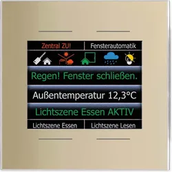 Issendorff Glas-Farbdisplay LCN - GT4DC