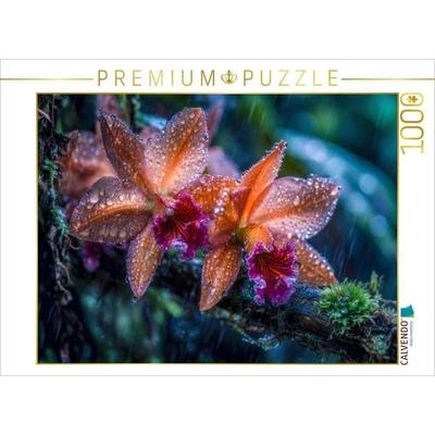 CALVENDO Puzzle Ein Hauch Exotik trifft auf ein zeitlose Cattleya | 1000 Teile Lege-Größe 64x48cm Foto-Puzzle für glückliche Stunden, Sonstige von ,