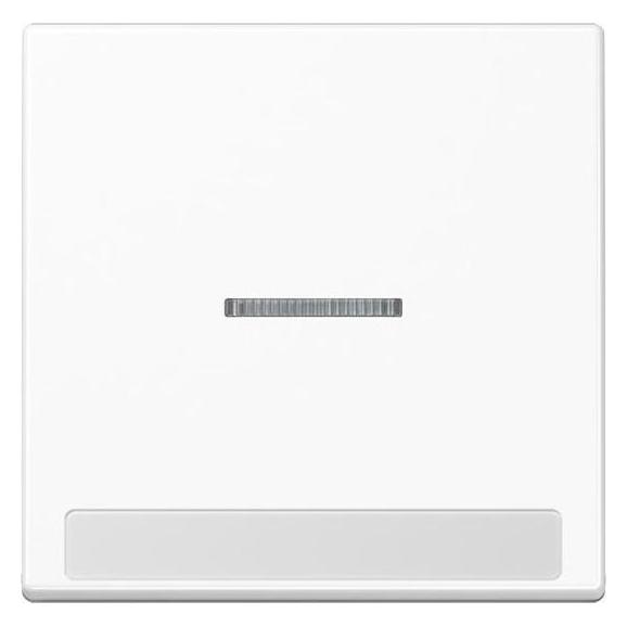JUNG Kontrollwippe Schalter A aws glz A590BFNAKO5WW (A590BFNAKO5WW)