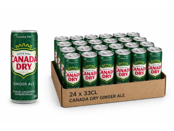 CANADA DRY Pack 24x33cl