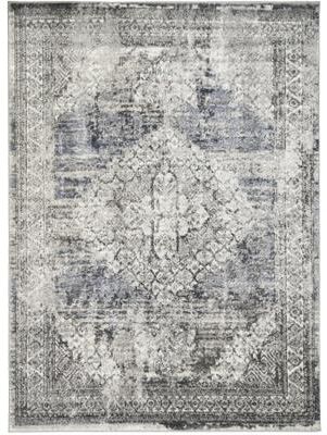 Mayberry Rug Firenze Regal Vintage Traditional Oriental Area Rug