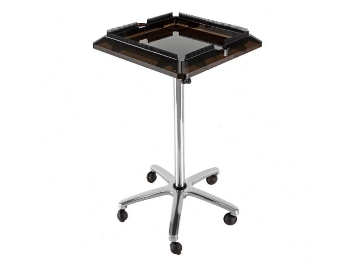 Chariot de Salon, Support Mobile pour Perruques de Salon de Coiffure, Chariot de Salon de Beauté pour Outils de Coiffure, Peignes, Brosses, Organisateur de Bols à Teinture