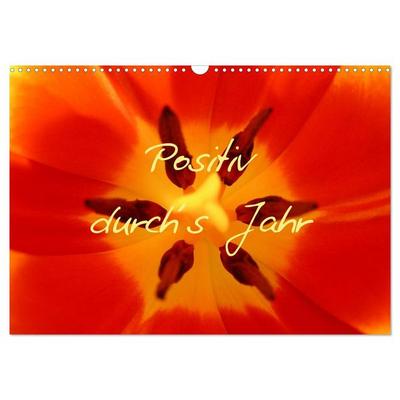 Positiv durch´s Jahr (Wandkalender 2026 DIN A3 quer), CALVENDO Monatskalender