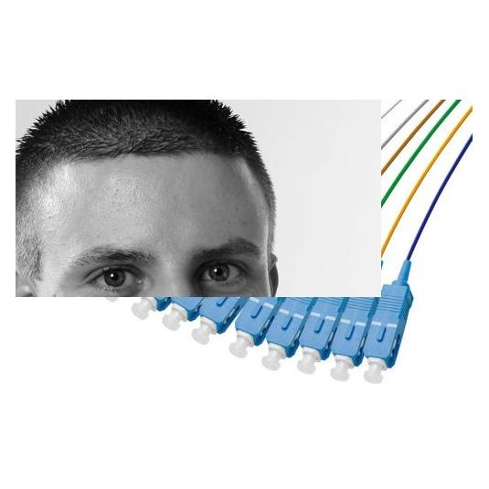 Ekivalan Lot de pigtails OS2 G652D SC-UPC Low Loss 900µm 12 couleurs 2m (2 m) (COP008SUP0020-12A)