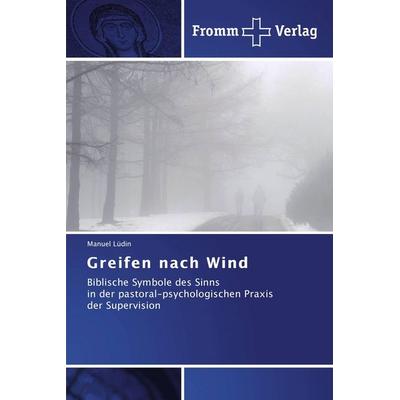 Greifen nach Wind, Taschenbuch von Manuel Lüdin, Fromm Verlag, 978-3-8416-0326-5
