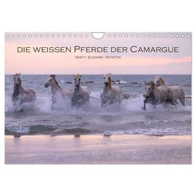 Die weißen Pferde der Camargue (Wandkalender 2027 DIN A4 quer), CALVENDO Monatskalender