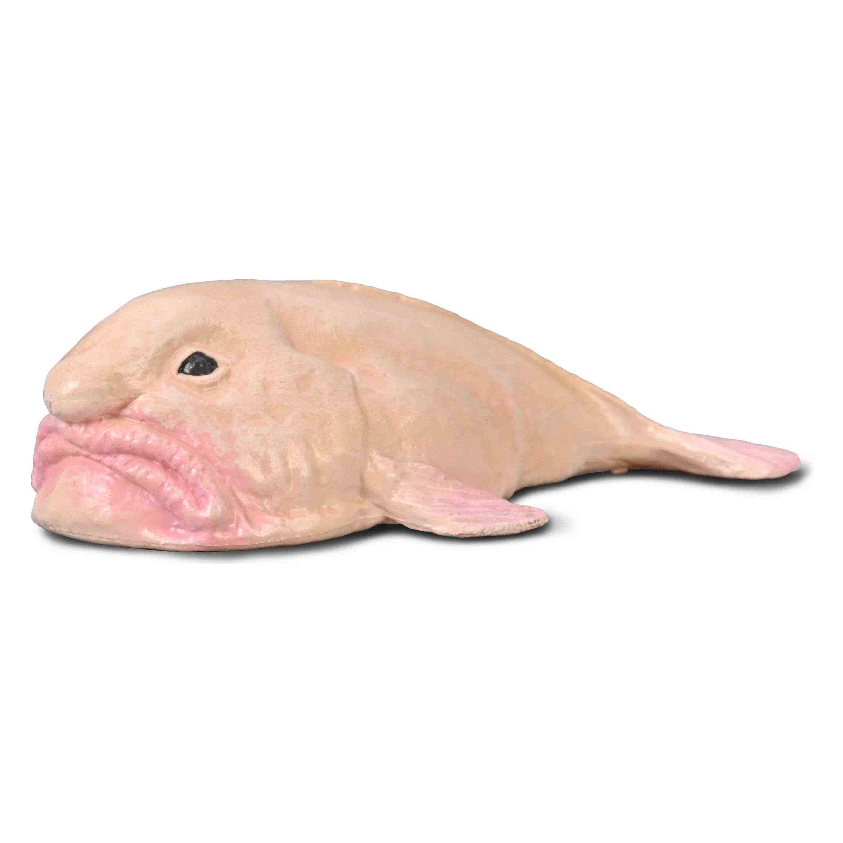 Collecta Blobfisch - S-Artikel (61338713)
