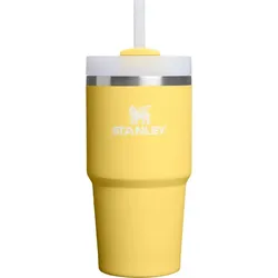 Quencher H2.0 Flowstate Thermobecher mit Strohhalm, Daffodil, 590 ml