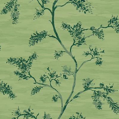 Branches Wallpaper - Green - Ballard Designs