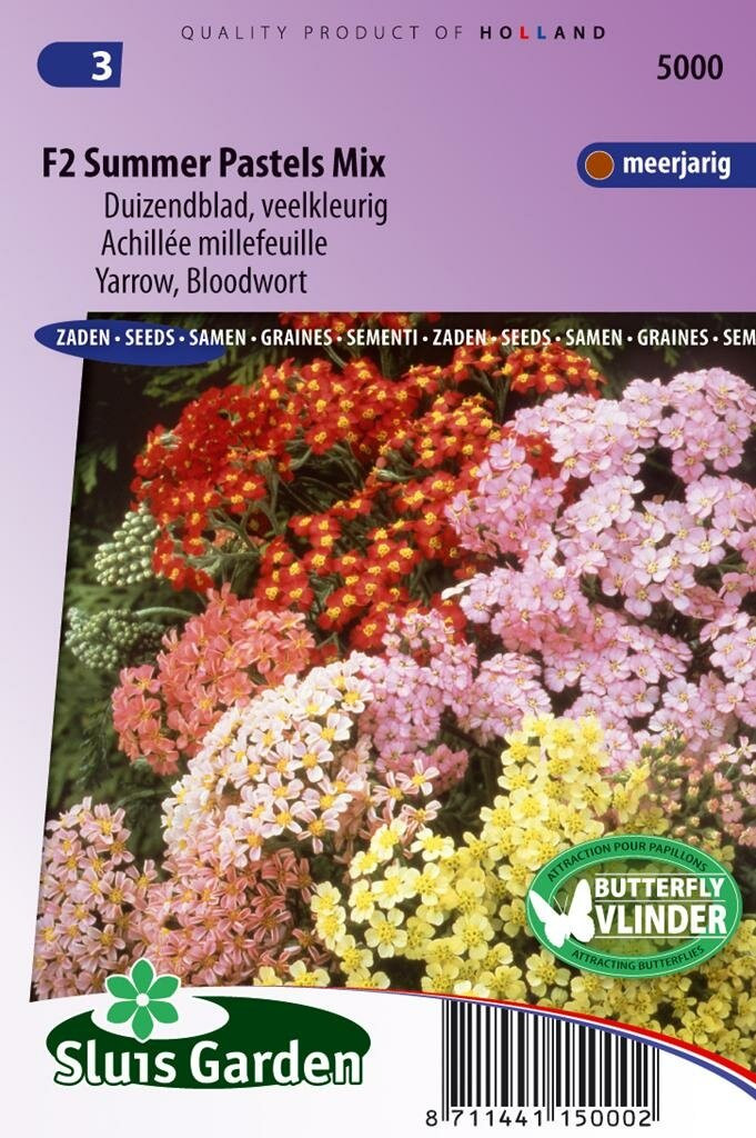 Sluis Garden Duizendblad zaden Summer Pastels F2 mix (Achillea)