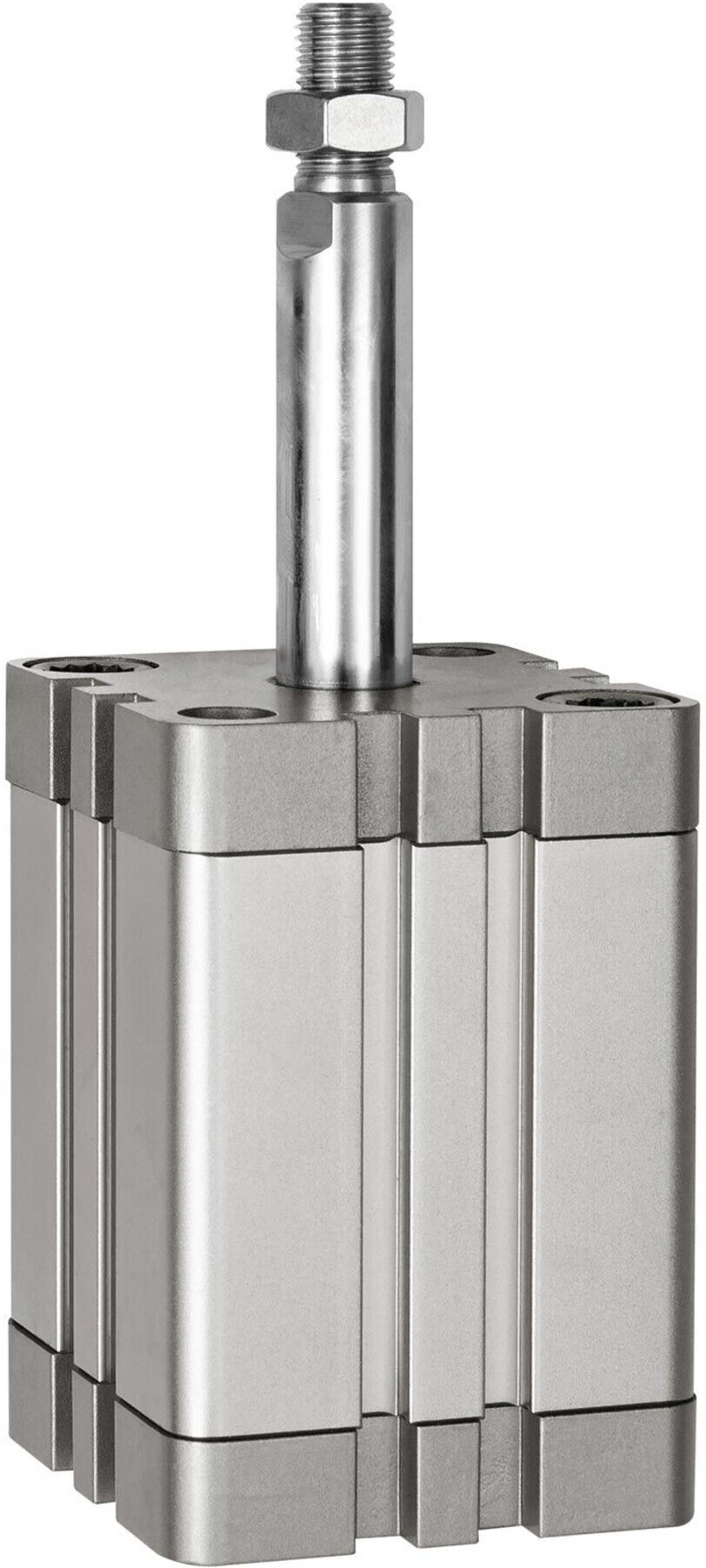 Riegler Kompaktzyl., einfachw., AG, ausgefür, Ã˜80, Hub10, G1/8, ISO21287 (15.AMA.80010)