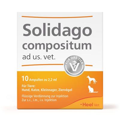 Solidago Compositum ad us.vet.Ampullen 10 St Ampullen