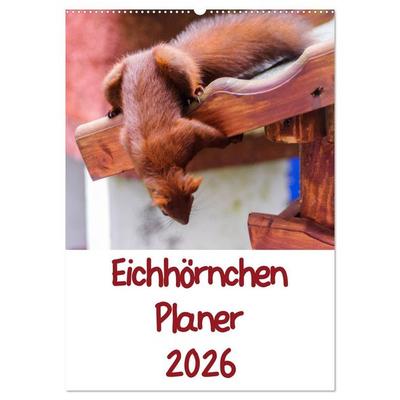 Eichhörnchen Planer 2026 (Wandkalender 2026 DIN A2 hoch), CALVENDO Monatskalender