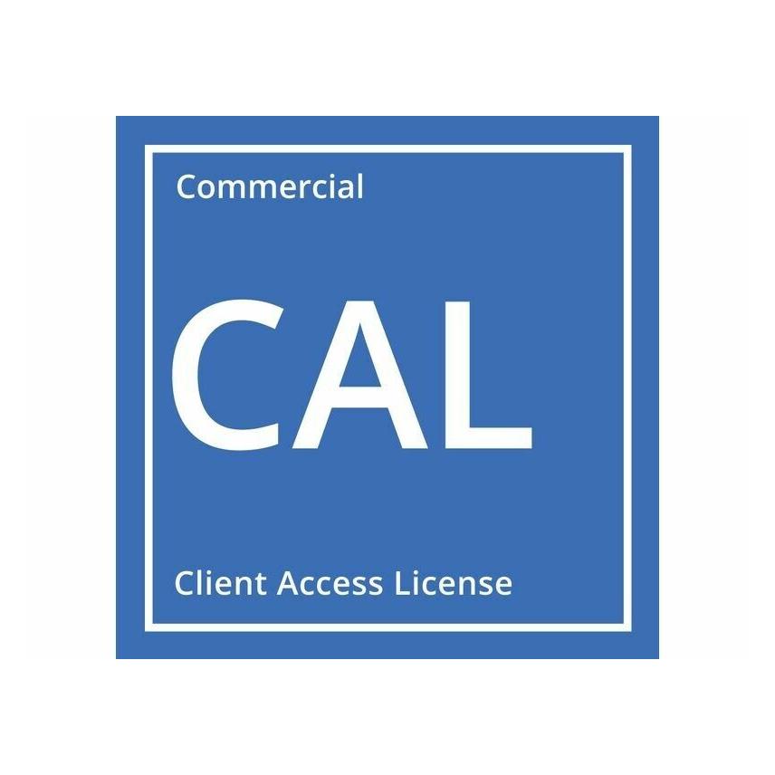 Microsoft MS OEM Windows Server CAL 2025 1pk 1 Clt User CAL (EN) (1 User, unbegrenzt) (EP2-25261)
