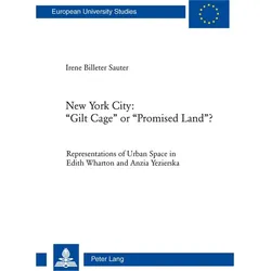New York City: 'Gilt Cage' or 'Promised Land'?, Fachbücher von Irene Billeter Sauter
