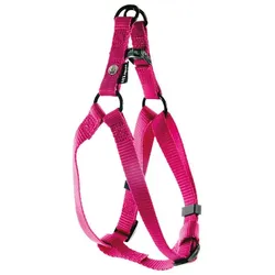 Martin Sellier Baud L (L, Hund, Hundesport, Spazieren), Halsband + Leine
