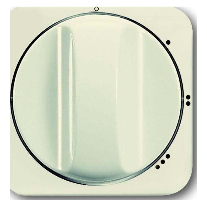 Busch-Jaeger Zentralscheibe (2CKA001710A3109)