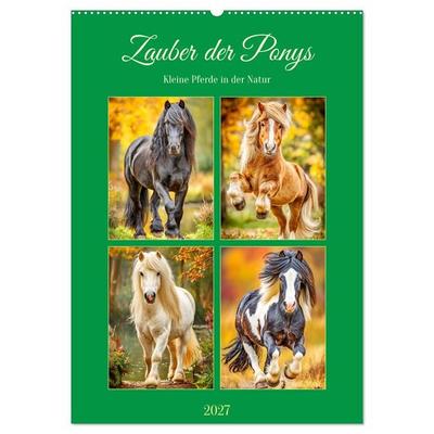 Zauber der Ponys. Kleine Pferde in der Natur (Wandkalender 2027 DIN A2 hoch), CALVENDO Monatskalender