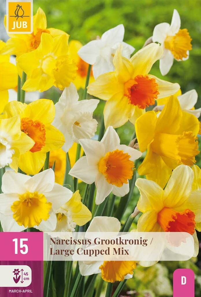 Jub Narcis grootkronig mix 15 bollen