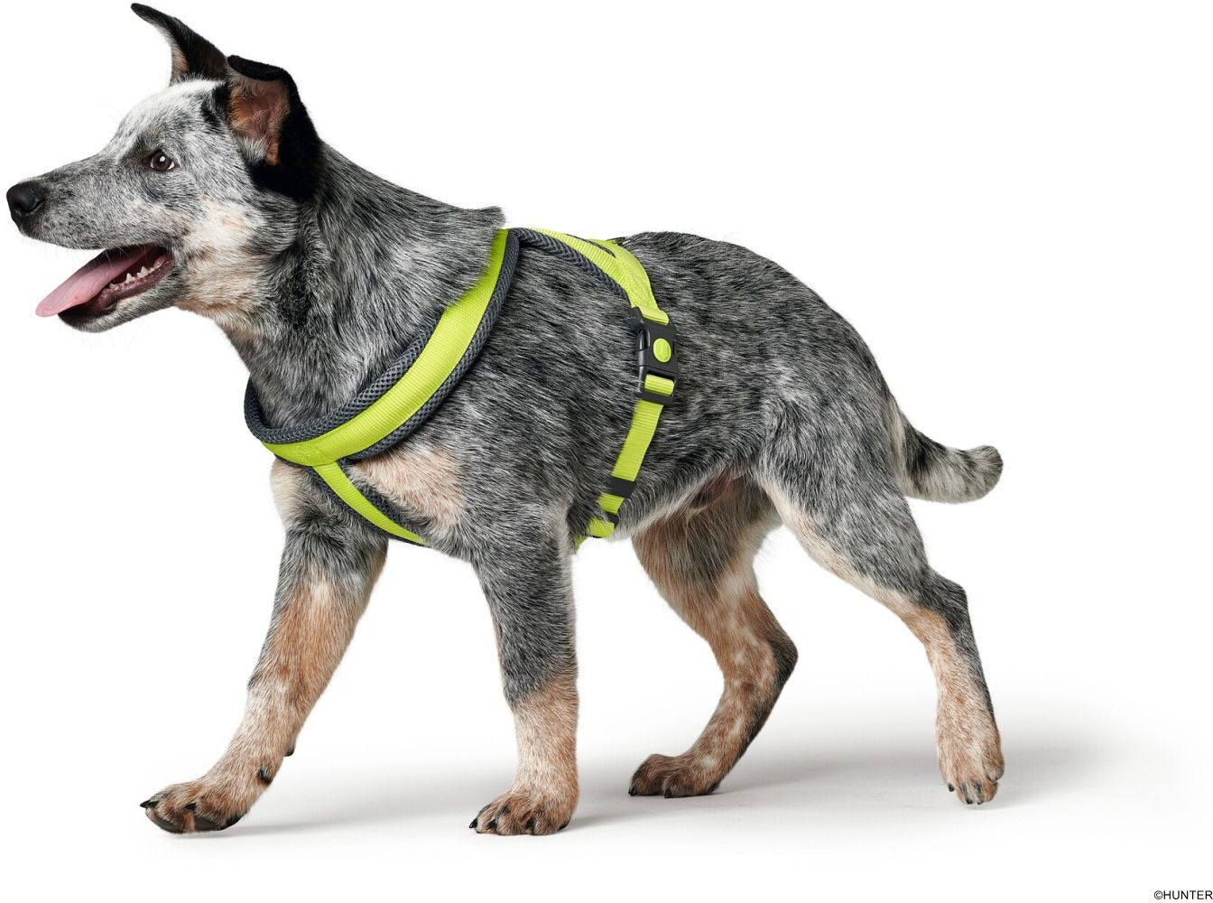 DOG SPORT HUNTER Geschirr London Comfort M, limette