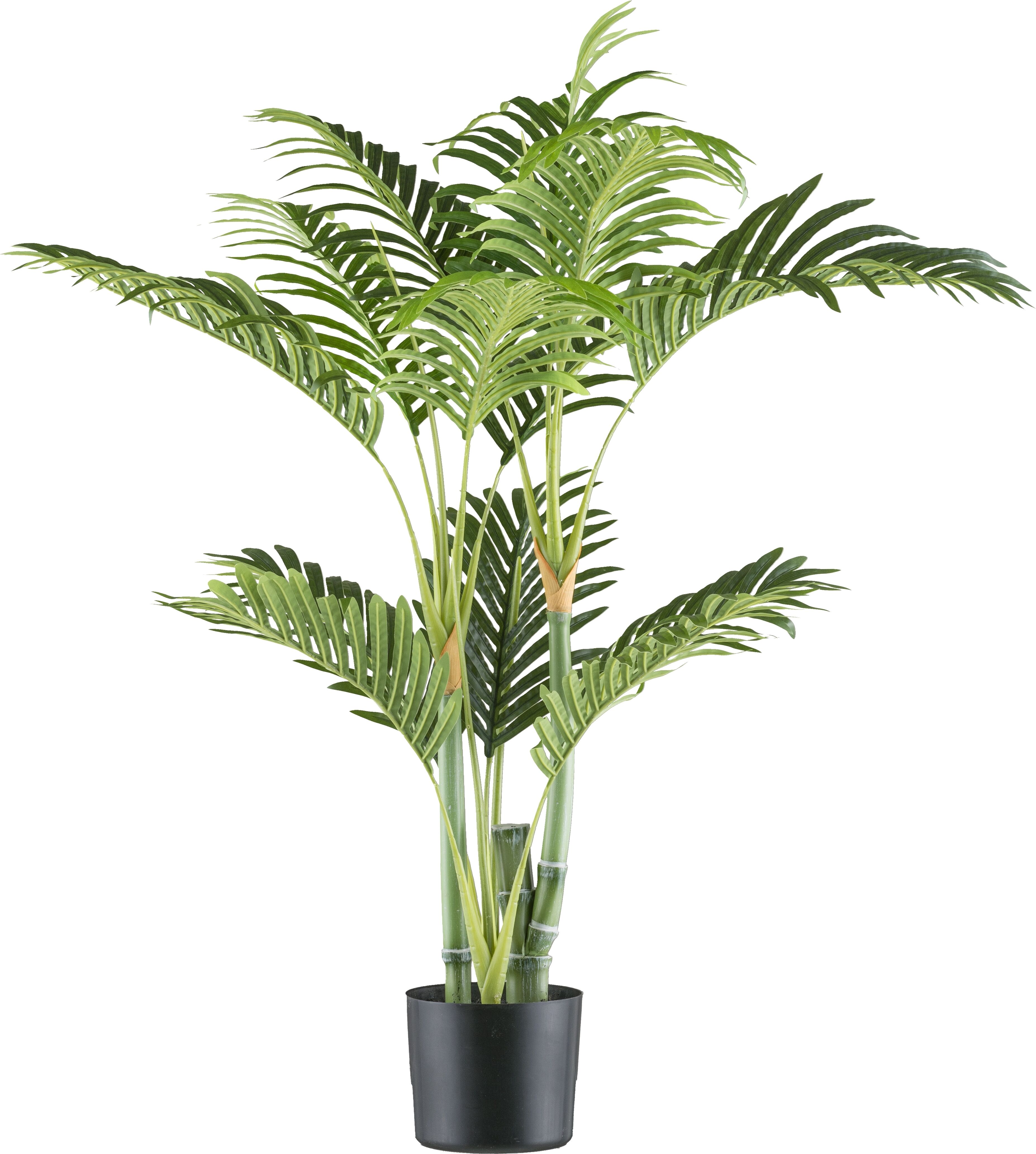Kunstpalme CREATIV GREEN "Bambuspalme", grün, H:100cm, Kunststoff, Kunstpflanzen, Kunstpalme, mit zahlreichen Wedeln