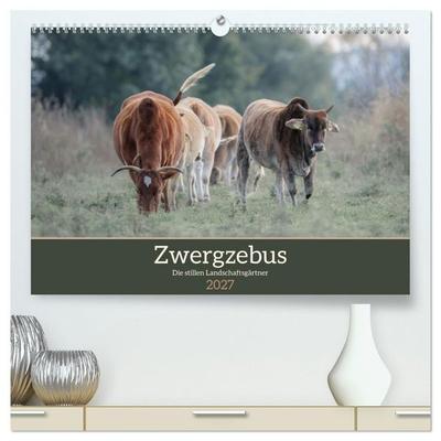 Zwergzebus - Die stillen Landschaftsgärtner (hochwertiger Premium Wandkalender 2027 DIN A2 quer), Kunstdruck in Hochglanz