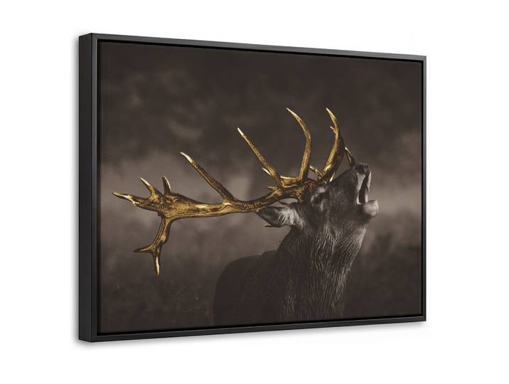 LEINWAND Bilder mit Rahmen - Rotwild - Schwarz - Gold - 40x30