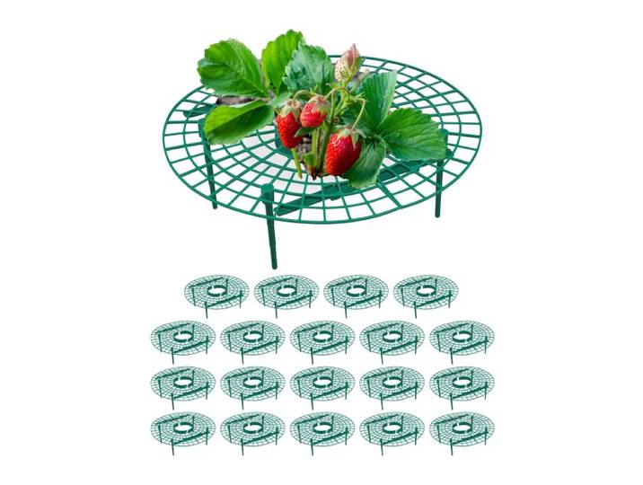 Relaxdays Steun aardbeien set van 20